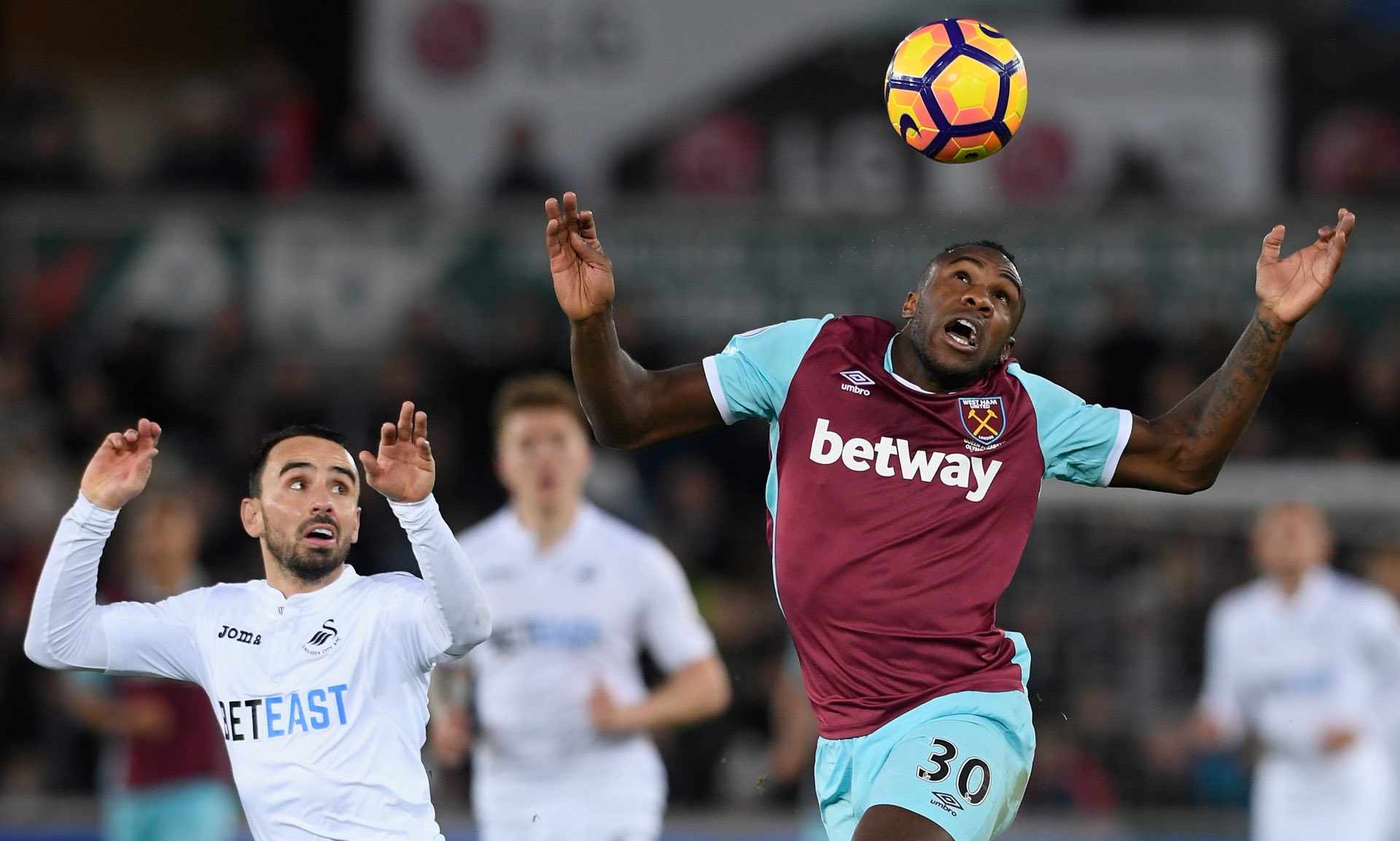 动画微视频 动画微视频